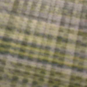 Meet your Posher, Brady